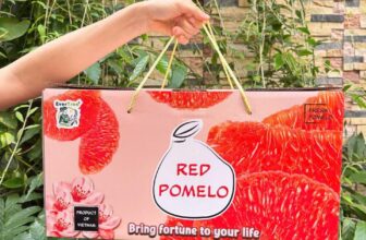 [🆕🇻🇳] Nhà AnAn – chuyên cung cấp rau củ quả hữu cơ, sạch, rõ nguồn gốc từ Đà Lạt 🍔 Top1Food  🍜    BƯỞI ĐỎ ĐÃ VỀ ĐƠN ĐẦU TIÊN, ĐẸP MÊ LY, THƠM NỨC CẢ CĂN PHÒNG
Bưởi đỏ Tiến vua EVERTREE – thùng 2 quả (2Kg trở lên/thùng)
Quà biếu tặng siêu sang đẹ , shares-0✔️ , likes-7❤️️ , date-2025-01-19 02:48:21🇻🇳🇻🇳🇻🇳📰🆕