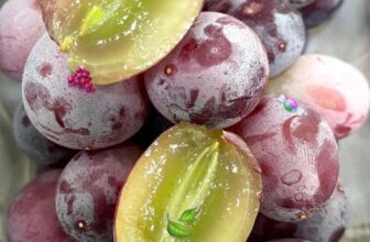 [🆕🇻🇳] Nông Sản Bảo Lâm HCM – Chợ nông sản 🍔 Top1Food  🍜 HOTTT #99k 1 hộp khi (.) tại bài , thùng 10 hộp #750k
Nho Kẹo Candy Hearts Hello Úc ngọt thanh, thơm nồng mùi kẹo đặc trưng mới về cho Khách nhắn hỏi em b , shares-0✔️ , likes-0❤️️ , date-2025-01-19 16:00:00🇻🇳🇻🇳🇻🇳📰🆕