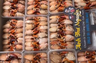 [🆕🇻🇳] ANH THƯ FOOD – Thịt Càng Cua / Thịt Ghẹ -Tôm Tích 🍔 Top1Food  🍜 Thịt Càng Cua Giao Cuối Năm
, shares-0✔️ , likes-0❤️️ , date-2025-01-23 18:30:15🇻🇳🇻🇳🇻🇳📰🆕