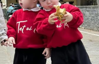 [🆕🇻🇳]  Lullabybaby – Thời trang cho bé 🧑‍🧒❤️️👶⭐️ Còn 1 áo 125k chỉ ship HN nhé
Size 130:17-19kg nhé
Bé trai gái đều mặc được nha
, shares-0✔️ , likes-0❤️️ , date-2025-01-24 20:14:30🇻🇳🇻🇳🇻🇳📰🆕