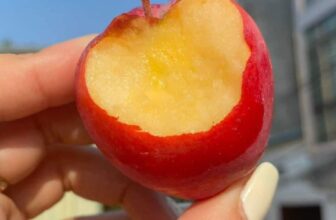 [🆕🇻🇳] Nông Sản Bảo Lâm HCM – Chợ nông sản 🍔 Top1Food  🍜 #mua1tặng1 , mua 1 xô TẶNG 1 xô
DEAL BOM TẤN: #99k/1 XÔ 1KG (giá gốc 199.000) – đặt hàng commentTáo cherry em về mẫu xô quai xách siêu cưng. 1 xô kho , shares-0✔️ , likes-2❤️️ , date-2025-01-23 16:26:37🇻🇳🇻🇳🇻🇳📰🆕