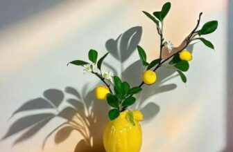 [🆕🇻🇳]  Mina’s House – Order US, UK – Order các sản phẩm Authentic từ US-UK-China-PL-JP… và local brand China 🧑‍🧒❤️️👶⭐️ Bình chanh kích thước cao 16cm thêm cành cao 26cm
Bình lựu Kích thước 10 x 12 cm thêm cành cao 26cm
Em xả nốt #119k/bình
, shares-0✔️ , likes-2❤️️ , date-2025-01-20 18:53:25🇻🇳🇻🇳🇻🇳📰🆕