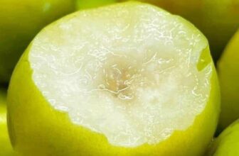 [🆕🇻🇳] THUỶ THUỶ FOOD – Trái Cây Sạch / Đặc Sản Đà Lạt 🍔 Top1Food  🍜  𝐓𝐚́𝐨 𝐦𝐚̣̂𝐭 𝐦𝐚̃ 𝐫𝐚́𝐦 𝐁𝐚̆́𝐜 𝐆𝐢𝐚𝐧𝐠 – hàng ngon cực phẩm. Sluong ít nha
#259k/3kg – Lẻ 85k/kg
Thùng 5kg #419k
#TẶNG KÈM MUỐI CHẤMTáo rám mật trên đồi  , shares-0✔️ , likes-1❤️️ , date-2025-01-19 17:20:02🇻🇳🇻🇳🇻🇳📰🆕