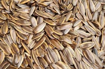 [🆕🇻🇳] Tổng Kho Ăn Vặt Miền Trung – chuyên các món ăn vặt thịnh hành nhất hiện nay 🍔 Top1Food  🍜 TRI ÂN SIÊU KHỦNG ĐÓN TẾT 2025
FREESHIP ĐƠN TỪ 200K
MUA BÁNH KẸO TẾT CHỈ TỪ 30K
ĐƠN TỪ 300K FREESHIP VÀ CÓ GIẢM GIÁ
CÓ TRÊN 50 MÓN NÊN KHÁCH LỰA CHỌN THOẢI , shares-0✔️ , likes-4❤️️ , date-2025-01-19 14:26:41🇻🇳🇻🇳🇻🇳📰🆕