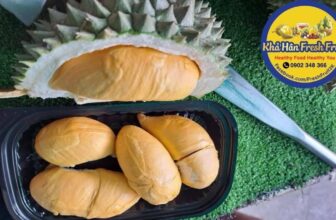 [🆕🇻🇳] Khả Hân Fresh Fruit – Sầu Riêng 6 Hữu 🍔 Top1Food  🍜 hôm nay cắt vườn được ít trái Black Thorn khách mua biếu tặng hoặc dùng thì còn gì bằng nữa ạ
đặc điểm của sầu riêng Black Thorn: quả có màu xanh xám , hì , shares-0✔️ , likes-1❤️️ , date-2025-01-20 22:59:25🇻🇳🇻🇳🇻🇳📰🆕