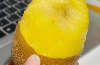 [🆕🇻🇳] Nông Sản Bảo Lâm HCM – Chợ nông sản 🍔 Top1Food  🍜 CHỈ DUY NHẤT HÔM NAY #65k 500gr kiwi vàng
SALE ĐẬM khi (.) tại bài
KIWI VÀNG  hàng mới tinh – CỨNG TRÁI, XỊN VÀ CỰC TỐT CHO SỨC KHOẺ . Khi xanh trái cứng  , shares-0✔️ , likes-2❤️️ , date-2025-01-22 16:18:48🇻🇳🇻🇳🇻🇳📰🆕