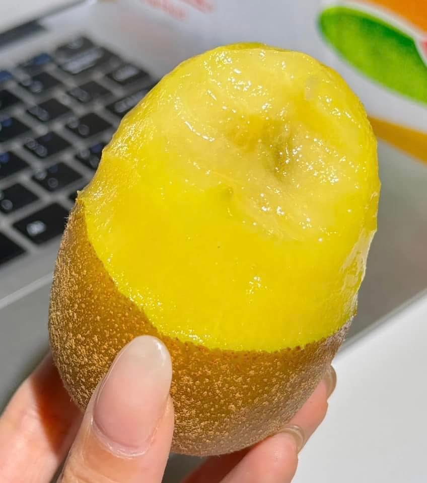 [🆕🇻🇳] Nông Sản Bảo Lâm HCM – Chợ nông sản 🍔 Top1Food  🍜 CHỈ DUY NHẤT HÔM NAY #65k 500gr kiwi vàng
SALE ĐẬM khi (.) tại bài
 KIWI VÀNG  hàng mới tinh – CỨNG TRÁI, XỊN VÀ CỰC TỐT CHO SỨC KHOẺ . Khi xanh trái cứng  , shares-0✔️ , likes-2❤️️ , date-2025-01-22 16:18:48🇻🇳🇻🇳🇻🇳📰🆕