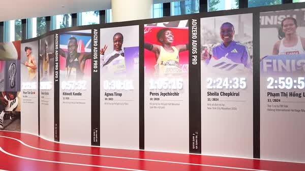 [???] Xếp home  (vintagenhatrang)  ? Top1Fashion ?  Khăn chất cotton K.e.n.z.o, V.a.l.e.n.t.i.n.o…Size tầm từ 46-55cm.#xephomeconhangXẾP HOME
[Chuyên mũ túi cói len móc, thiệp hoa khô handmade cao cấp , shares-0✔️ , likes-2❤️️ , date-2025-01-20 03:12:07????????