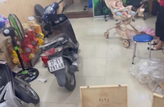 [🆕🇻🇳] TH Fruit – Chuyên Trái Cây Nhập Khẩu Cao Cấp 🍔 Top1Food  🍜 XUÂN ĐANG ĐẾN – TẾT ĐANG VỀ
, shares-0✔️ , likes-4❤️️ , date-2025-01-22 15:49:54🇻🇳🇻🇳🇻🇳📰🆕