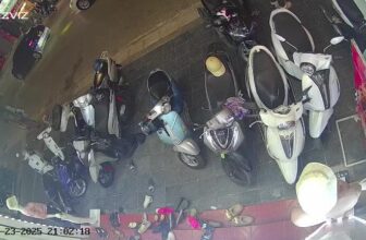 [🆕🇻🇳] Dec.21 Clothing – Thời trang nữ uy tín Nam Định 👕 Top1Fashion 👗  Từ từ bình tĩnh ạ_______ꫛꫀꪝ sẵn______
𝔻𝕖𝕔.𝟚𝟙 ℂ𝕝𝕠𝕥𝕙𝕚𝕟𝕘
:  𝟎𝟗𝟒𝟕𝟎𝟗𝟎𝟏𝟗𝟒
𝐀𝐝𝐝: 𝟒𝟐𝟔 𝐓𝐫𝐚̂̀𝐧 𝐇𝐮̛𝐧𝐠 Đ𝐚̣𝐨 – 𝐍𝐚𝐦 Đ𝐢̣𝐧𝐡
𝐒𝐡𝐢𝐩 𝐜𝐨𝐝 𝐭𝐨𝐚̀𝐧 𝐪𝐮𝐨̂́𝐜
, shares-0✔️ , likes-17❤️️ , date-2025-01-24 04:57:01🇻🇳🇻🇳🇻🇳📰🆕