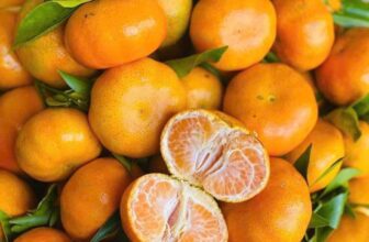 [🆕🇻🇳] THUỶ THUỶ FOOD – Trái Cây Sạch / Đặc Sản Đà Lạt 🍔 Top1Food  🍜  𝐂𝐀𝐌 Đ𝐔̛𝐎̛̀𝐍𝐆 𝐂𝐀𝐍𝐇 Đ𝐀̀ 𝐋𝐀̣𝐓 – Ai mà biết Tiệm em chắc ko quên được món đặc sản xịn xò mỗi năm có 1 lần này he. Đầu vụ số lượng siêu ít nha
#229k/3kg – Lẻ , shares-0✔️ , likes-0❤️️ , date-2025-01-21 21:05:26🇻🇳🇻🇳🇻🇳📰🆕