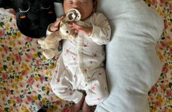 [🆕🇻🇳]  Suzanna Nguyen  (Suzanna Nguyen) – Best choice for your baby! 🧑‍🧒❤️️👶⭐️ BÉ NGỦ NGOAN KHÔNG GIẬT MÌNH VỚI GỐI ĐA NĂNG CHỮ C #GOODNIGHT BABY
GIÁ TỐT TẠI LINK .GỐI CỪU ĐA NĂNG HÌNH CHỮ C NGƯỢC MADE IN KOREA  MÀU PASTEL MỚI
Bé h , shares-0✔️ , likes-0❤️️ , date-2025-01-27 04:00:22🇻🇳🇻🇳🇻🇳📰🆕