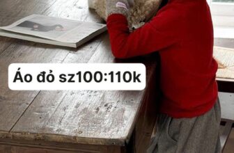 [🆕🇻🇳]  Tiệm Nhà Bơ – Tiệm chuyên đồ trẻ em Quảng Châu, mang style Hàn Quốc năng động cho bé 🧑‍🧒❤️️👶⭐️ Lẻ size em vẫn còn SALEEE ạ, vẫn ưu tiên mom chuyển khoản nhé
, shares-0✔️ , likes-6❤️️ , date-2025-01-20 17:30:01🇻🇳🇻🇳🇻🇳📰🆕