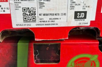 [🆕🇻🇳] F5 Fruit Shop Hồ Chí Minh-hệ thống bán lẻ Trái cây Nhập khẩu cao cấp 🍔 Top1Food  🍜 Cherry Chile Misso Size 3J
Trái tươi, mã đẹp mắt, cuống xanh um.
Vị ngọt lịm tim, 1 thùng 5kG (2 xách 2.5kg)
Thiết kế xách tối giản, nhưng không kém phầ , shares-1✔️ , likes-1❤️️ , date-2025-01-26 15:25:00🇻🇳🇻🇳🇻🇳📰🆕