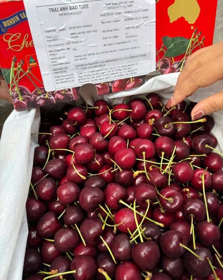 [🆕🇻🇳] Hoa Quả 4Mùa – Cửa hàng rau quả 🍔 Top1Food  🍜  #Cherry_Chile hiệu SAN FRANCISCO

Cherry nay em chạy tương tác zá sập sàn

 Chỉ : #269k/ kg size to

Cuống tươi – Cứng Quả – Giòn Ngọt – Đậm Vị

Hàng nhà  , shares-0✔️ , likes-0❤️️ , date-2025-01-24 02:05:18🇻🇳🇻🇳🇻🇳📰🆕