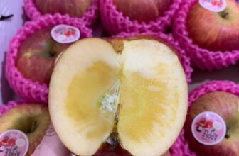 [🆕🇻🇳] Lefarms – Cửa hàng tiện lợi 🍔 Top1Food  🍜 TÁO MẬT NỘI ĐỊA LEFARMS VỀ HỘP XINH XINH Ạ
QUẢ CHẮC, GIÒN NGỌT Ạ
, shares-0✔️ , likes-0❤️️ , date-2025-01-25 16:49:38🇻🇳🇻🇳🇻🇳📰🆕