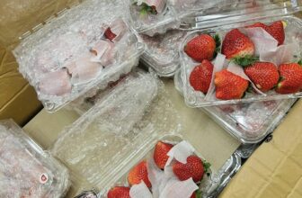 [🆕🇻🇳] Trái Cây Nhập Khẩu Tuy Hoà-Phú An Food 🍔 Top1Food  🍜 Siêu phẩm hôm nay cho cả nhà
Dâu mộc châu sz Vip
Quýt úc hộp Vip
Cherry sz to
, shares-0✔️ , likes-2❤️️ , date-2025-01-27 19:22:33🇻🇳🇻🇳🇻🇳📰🆕