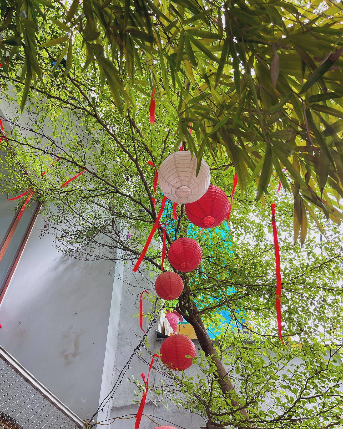 [☕️🇻🇳] Hạ An Corner – Trà – Bánh – Cafe – Piano 🥤 Top1Coffee ☕️ Đếm ngược mấy ngày Tết
Hẹn gặp mặt cuối năm bình yên tại Hạ An hông ạ 
 , shares-0✔️ , likes-4❤️️ , date-2025-01-23 16:07:09🇻🇳🇻🇳🇻🇳📰🆕