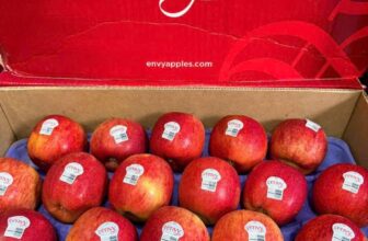 [🆕🇻🇳] Khả Hân Fresh Fruit – Sầu Riêng 6 Hữu 🍔 Top1Food  🍜  TÁO ENVY – cập nhật lại giá mới nhen khách ơi , với những khách bên e đã chốt đơn thì vẫn giá cũ nha
TRÁI SIÊU TƯƠI- GIÒN – NGỌT – THƠM
Táo Envy – Dòng  , shares-0✔️ , likes-1❤️️ , date-2025-01-24 16:55:30🇻🇳🇻🇳🇻🇳📰🆕