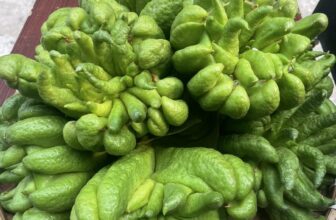 [🆕🇻🇳] Hoa Quả 4Mùa – Cửa hàng rau quả 🍔 Top1Food  🍜 #PHẬT_THỦ CHO TẾT NGUYÊN ĐÁN 2025 E sẵnShop em bắt đầu nhận đơn Tết và hàng đang sẵn giao các đợt cúng 22 tết tới 29 tết MÙNG 1, NGÀY RẰM tại HCM đảm bảo , shares-0✔️ , likes-8❤️️ , date-2025-01-23 18:08:49🇻🇳🇻🇳🇻🇳📰🆕