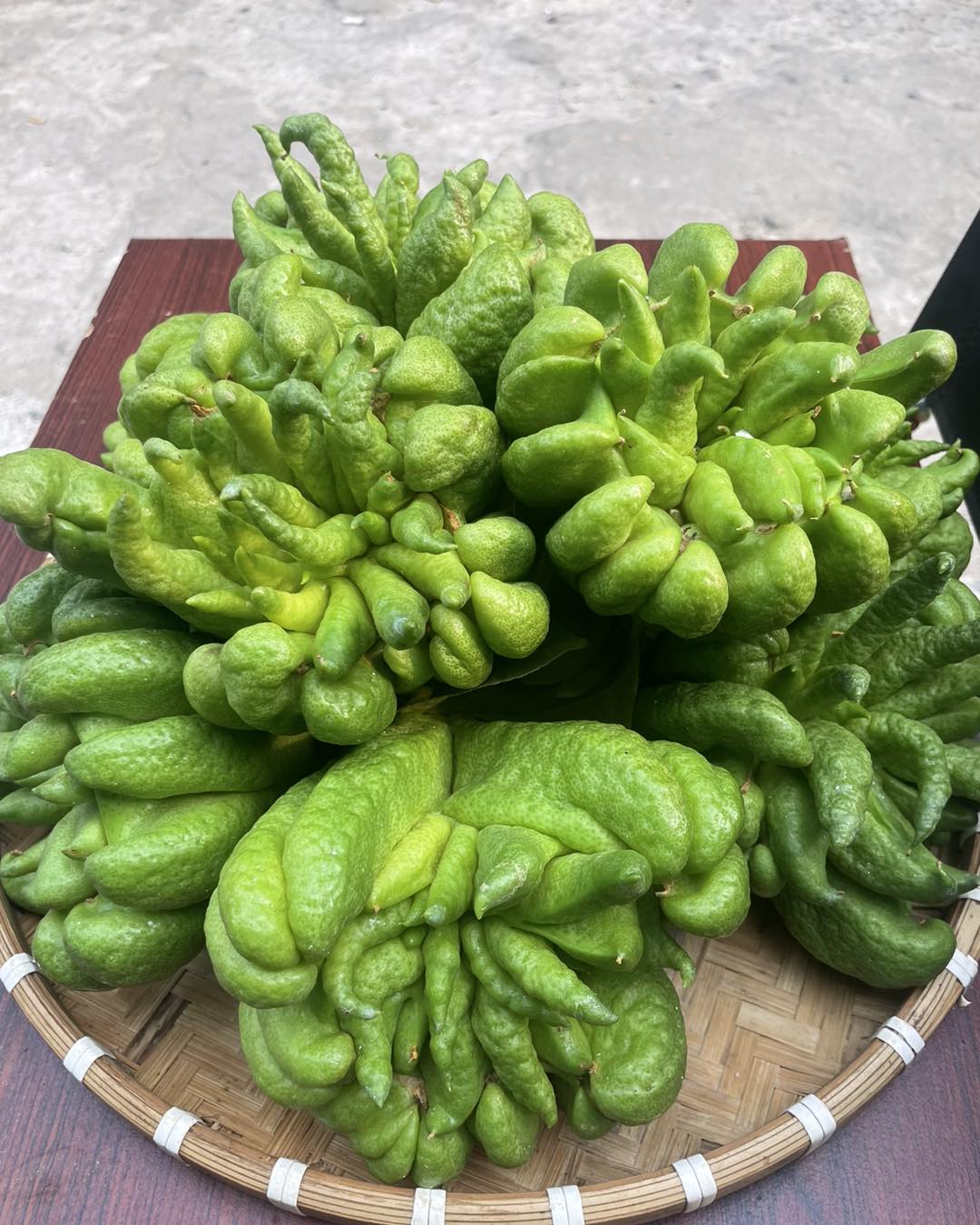 [🆕🇻🇳] Babyhouse Thanh Hóa – Thế giới mẹ và bé 🧑‍🧒❤️️👶⭐️ 𝐒𝐈𝐑𝐎 𝐂𝐀̉𝐌 𝐂𝐔́𝐌  CHÓ MÈO NHẬT BẢN
– NUÔI CON 𝐊𝐇Ô𝐍𝐆 𝐊𝐇𝐀́𝐍𝐆 𝐒𝐈𝐍𝐇
em này quá nổi tiếng về độ lành tính và hiệu quả. mùa cảm cúm này mẹ nên trữ trong nhà 1 cha , shares-0✔️ , likes-3❤️️ , date-2025-01-23 18:07:04🇻🇳🇻🇳🇻🇳📰🆕