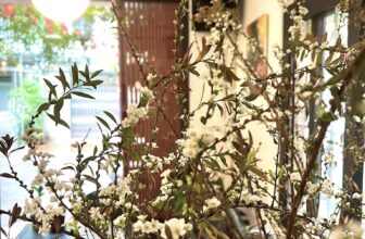 [☕️🇻🇳] Cà Phê Không 🥤 Top1Coffee ☕️  Không khí Hà Nội 2 ngày cuối năm yên bình thực sự, không vội vã tấp nập dòng người!
Cà Phê Không vẫn đón tiếp mọi người 2 ng , shares-0✔️ , likes-10❤️️ , date-2025-01-27 19:54:40🇻🇳🇻🇳🇻🇳📰🆕