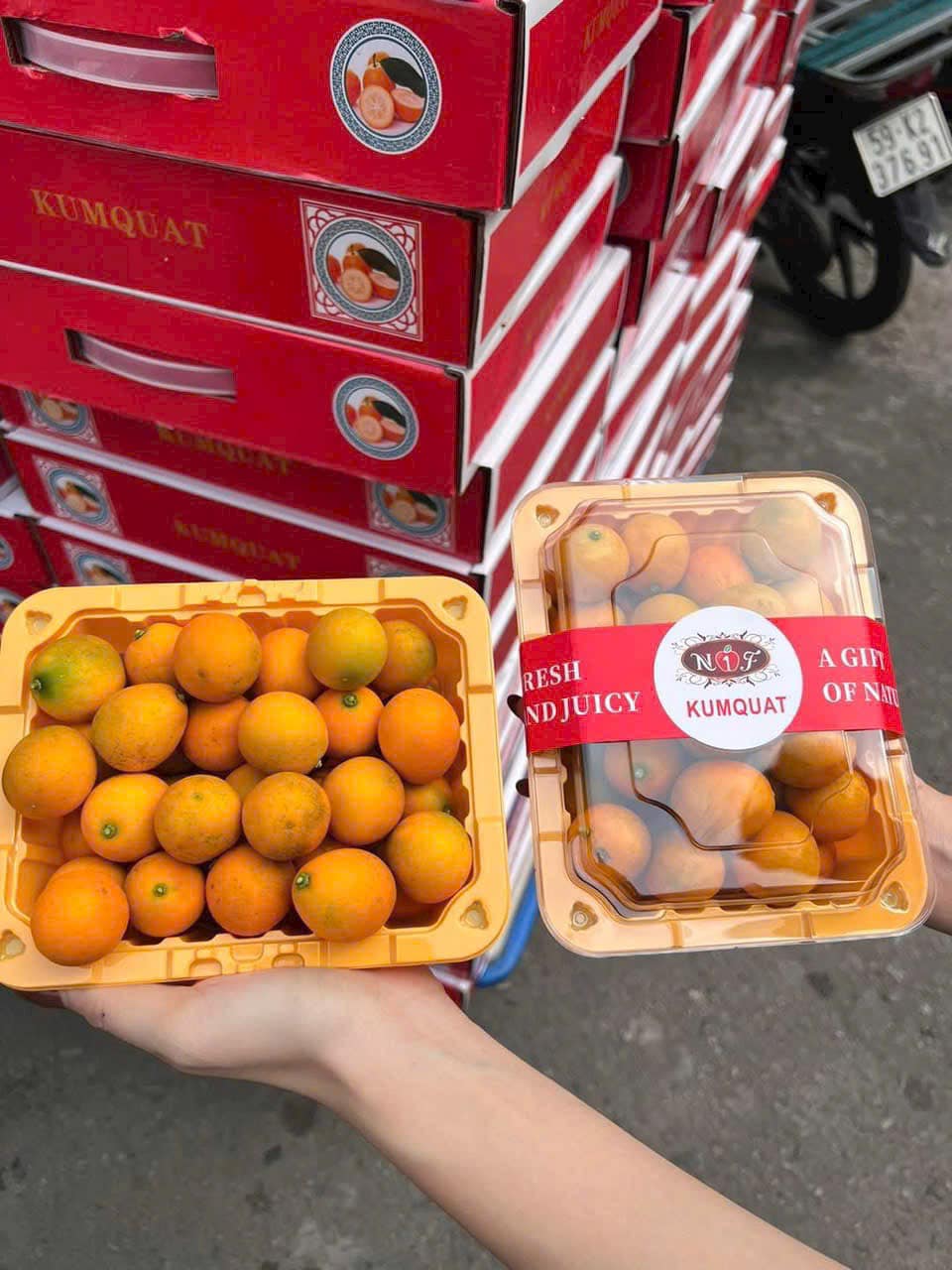 [🆕🇻🇳] Trái Cây Nhập Khẩu Đường Bay – Cửa hàng rau quả 🍔 Top1Food  🍜 Tắc giòn ngọt lịm ngon lắm luôn #90k/hộp 500gr

Thùng 4hộp 320k
…

Đây là vị bên em ăn thử và miêu tả. Khuyến khích khách hàng đến shop để dùng thử cảm n , shares-0✔️ , likes-2❤️️ , date-2025-01-27 17:45:57🇻🇳🇻🇳🇻🇳📰🆕