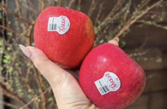 [🆕🇻🇳] Vườn Dâu Nhà Mớm – Based in Saigon 🍔 Top1Food  🍜  BIẾU TẶNG NGƯỜI THÂN, CẤP TRÊN, ĐỐI TÁC NHỮNG MÓN QUÀ Ý NGHĨAGiá lên chóng mặt mua nhanh ạ
TÁO ENVY MỸ SIZE 88 LÔ MỚI TOANH195K/ KgGiòn, mọng n , shares-0✔️ , likes-2❤️️ , date-2025-01-26 23:38:48🇻🇳🇻🇳🇻🇳📰🆕