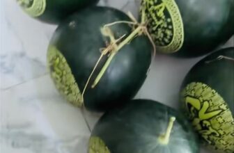 [🆕🇻🇳] Hương Thảo food and Fruits – Cửa hàng thực phẩm tự nhiên 🍔 Top1Food  🍜  , shares-0✔️ , likes-0❤️️ , date-2025-01-26 06:39:41🇻🇳🇻🇳🇻🇳📰🆕