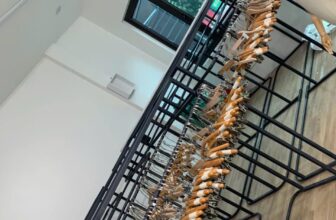 [🆕🇻🇳] Gâu Kids Store – CHUYÊN HÀNG THIẾT KẾ HÀN QUỐC 🧑‍🧒❤️️👶⭐️ 20 tết năm nay thời trang mẹ gâu đã về đích rất sớm! Cám ơn các mẹ luôn đồng hành! Mẹ gâu sẽ cố gắng năm tới bán nhiều hơn bên fb cho các mẹ mua đk dễ hơn! , shares-0✔️ , likes-37❤️️ , date-2025-01-26 16:58:55🇻🇳🇻🇳🇻🇳📰🆕