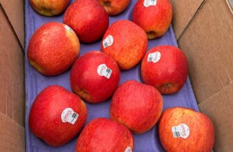 [🆕🇻🇳] Chio shop – Cửa hàng rau quả 🍔 Top1Food  🍜 Các loại táo hiện đang có tại shop em và sẽ có đến hết 28 Âm lịch nhaTáo Envy s28 giá 220k/kg, thùng 9kg/1.850k
Táo Envy s64 giá 200k/kg, thùng 10kg/1.90 , shares-0✔️ , likes-0❤️️ , date-2025-01-25 14:10:36🇻🇳🇻🇳🇻🇳📰🆕