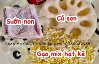 [🆕🇻🇳]  Tâm Nhung Baby – HỆ THỐNG MẸ BẦU VÀ EM BÉ TOP 1 THÁI BÌNH 🧑‍🧒❤️️👶⭐️ CÁCH NẤU CHÁO CƠ BẢN:
1. CHÁO: Mình hầm riêng ăn nguyên ngày , Cháo đc nấu chín, nhừ theo tháng tuổi của bé, liều lượng ăn các mẹ điều chỉnh để nấu nhé”
Nấ , shares-0✔️ , likes-1❤️️ , date-2025-01-28 14:29:05🇻🇳🇻🇳🇻🇳📰🆕