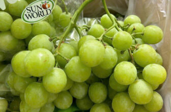 [🆕🇻🇳] F5 Fruit Shop Hồ Chí Minh-hệ thống bán lẻ Trái cây Nhập khẩu cao cấp 🍔 Top1Food  🍜  𝐍𝐡𝐨 𝐗𝐚𝐧𝐡 𝐍𝐚𝐦 𝐏𝐡𝐢 𝐀𝐮𝐭𝐮𝐦𝐧 𝐀𝐧𝐠𝐨𝐧
Giá bán: 250.000/KG
Trái cứng quả giòn rụm, mọng nước, cuống chính xanh uhm, cuống phụ se nhẹ, bao tươi.
Thùng 6 túi 4.5k , shares-1✔️ , likes-1❤️️ , date-2025-01-25 17:04:02🇻🇳🇻🇳🇻🇳📰🆕