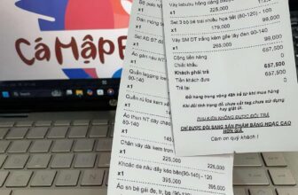 [🆕🇻🇳] Cá Mập Em Bé – Thời Trang Trẻ Em Đà Nẵng 🧑‍🧒❤️️👶⭐️ 26 Tết
Trộm vía hnay chị em chotdon bill khủng long quá trời mà chụp hem kịpGhé em chotdon thoaii ạ, đồ đẹp còn rất nhiềuuuuuĐúng guu là các mẹ chốt , shares-0✔️ , likes-9❤️️ , date-2025-01-27 02:03:12🇻🇳🇻🇳🇻🇳📰🆕