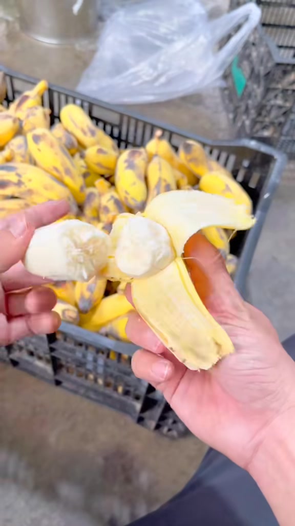 [🆕🇻🇳]  Sữa Shop-Chuyên Sỉ và Lẻ Đồ trẻ em 🧑‍🧒❤️️👶⭐️ 𝗩𝗘̂̀ 𝗧𝗛𝗘̂𝗠 𝗦𝗜𝗘̂𝗨 𝗣𝗛𝗔̂̉𝗠  𝗖𝗛𝗢 𝗕𝗘́ 𝗠𝗨̀𝗔 𝗟𝗔̣𝗡𝗛 𝗧𝗢̛́𝗜 𝗥𝗢̂̀𝗜Mẫu nhà em mặc đi chơi ra ngoài dạo phố được luôn nha mấy chị . Chứ không chỉ mặc ngủ.——– , shares-0✔️ , likes-0❤️️ , date-2025-01-27 16:35:08🇻🇳🇻🇳🇻🇳📰🆕