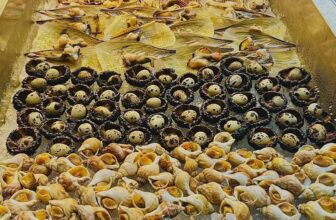 [🆕🇻🇳] Buffet KingHouse Seafood Cần Thơ 🍔 Top1Food  🍜 **THƯỞNG THỨC HẢI SẢN TƯƠI SỐNG PHỤC VỤ XUYÊN TẾT TẠI BUFFET KINGHOUSE!**
Bạn là tín đồ của hải sản? Hãy đến ngay Kinghouse để trải nghiệm bữa tiệc buffet , shares-18✔️ , likes-4❤️️ , date-2025-01-28 19:06:45🇻🇳🇻🇳🇻🇳📰🆕