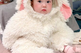 [🆕🇻🇳]  Hani Baby – Hani Baby mang đến sự trải nghiệm ấm áp tới những mẹ đang và sắp có con nhỏ 🧑‍🧒❤️️👶⭐️ Em bé của tui cưng xỉu up xỉu down thế này cơ mà
#feedback
, shares-0✔️ , likes-0❤️️ , date-2025-01-27 00:38:55🇻🇳🇻🇳🇻🇳📰🆕