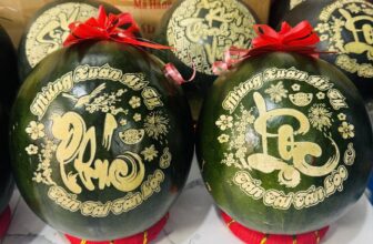 [🆕🇻🇳] Hương Thảo food and Fruits – Cửa hàng thực phẩm tự nhiên 🍔 Top1Food  🍜  XỔ XỔ NHANH TAY THI CON CHẬM SẼ HẾT…..EM XỔ MAI VỀ QUÊ KHÁCH ƠI…..– DƯA KHẮC 1⃣0⃣0⃣/trai
– dưa trơn : 40k/trai ( 4 5ky ), shares-9✔️ , likes-1❤️️ , date-2025-01-28 00:21:15🇻🇳🇻🇳🇻🇳📰🆕