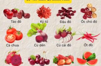 [🆕🇻🇳]  Tâm Nhung Baby – HỆ THỐNG MẸ BẦU VÀ EM BÉ TOP 1 THÁI BÌNH 🧑‍🧒❤️️👶⭐️ Save lại ngay để hiểu những báo hiệu màu sắc từ rau củ  healthy giúp ích gì cho các cơ quan của chúng ta !
, shares-0✔️ , likes-0❤️️ , date-2025-01-30 22:00:08🇻🇳🇻🇳🇻🇳📰🆕