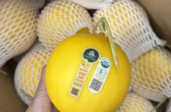 [🆕🇻🇳] Nhà AnAn – chuyên cung cấp rau củ quả hữu cơ, sạch, rõ nguồn gốc từ Đà Lạt 🍔 Top1Food  🍜  Dưa lê hồng kim organic Danny Green
Dưa lưới huỳnh long Globalgap Bình An mới về
=> Hai loại trái này màu vàng chưng cực xinh cho ngày Tết, trái nhỏ nhỏ  , shares-0✔️ , likes-1❤️️ , date-2025-01-25 21:43:37🇻🇳🇻🇳🇻🇳📰🆕