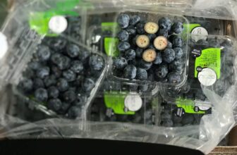 [🆕🇻🇳] Hoa Quả 4Mùa – Cửa hàng rau quả 🍔 Top1Food  🍜  𝐕𝐈𝐄̣̂𝐓 𝐐𝐔𝐀̂́𝐓 𝐎𝐙𝐁𝐋𝐔 𝐏𝐄𝐑𝐔 – 𝐧𝐠𝐨𝐧 𝐤𝐡𝐨̂𝐧𝐠 𝐭𝐮̛𝐨̛̉𝐧𝐠 𝐧𝐡𝐚 𝐤𝐡𝐚́𝐜𝐡 𝐨̛𝐢#vệt_quất_Peru trái cứng, quả to, còn nguyên phấn của việt quất luôn nhé ạHộp 125gram
, shares-0✔️ , likes-0❤️️ , date-2025-01-27 00:52:34🇻🇳🇻🇳🇻🇳📰🆕