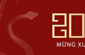 [🆕🇻🇳] My Way Outlet – Mẫu thiết kế quý phái và sang trọng 👕 Top1Fashion 👗   , shares-1✔️ , likes-37❤️️ , date-2025-01-29 07:00:51🇻🇳🇻🇳🇻🇳📰🆕