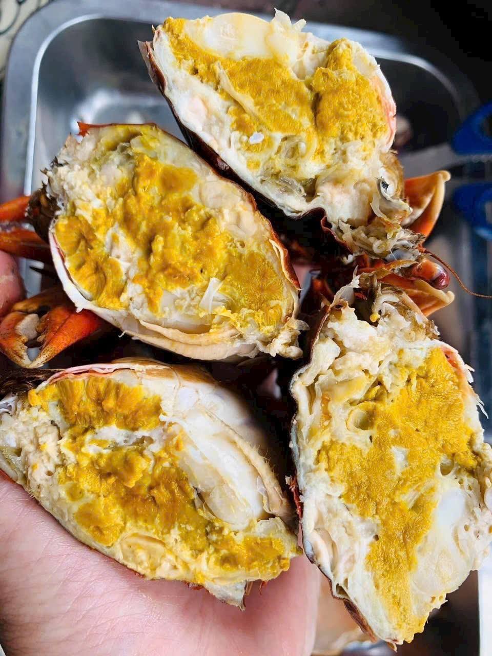 [🆕🇻🇳] Boss Seafood Vietnam – chuỗi nhà hàng chuyên các món Hải Sản 🍔 Top1Food  🍜 Boss Seafood Vietnam 
BOSS KÍNH CHÚC QUÝ KHÁCH HÀNG 1 NĂM MỚI THẬT NHIỀU SỨC KHỎE AN KHANG THỊNH VƯỢNG .
BOSS BÁN VÀ PHỤC VỤ XUYÊN TẾT TỪ 8H ĐẾN 24H 
MENU  , shares-1✔️ , likes-2❤️️ , date-2025-01-29 17:40:09🇻🇳🇻🇳🇻🇳📰🆕