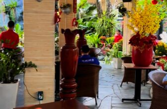 [☕️🇻🇳] Cà phê Ngọc Hà- Cafe sân vườn 🥤 Top1Coffee ☕️ Video liên quan
, shares-0✔️ , likes-0❤️️ , date-2025-01-30 16:21:05🇻🇳🇻🇳🇻🇳📰🆕