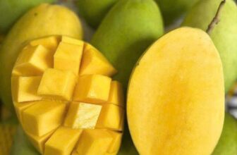 [🆕🇻🇳] THUỶ THUỶ FOOD – Trái Cây Sạch / Đặc Sản Đà Lạt 🍔 Top1Food  🍜  𝐗𝐎𝐀̀𝐈 𝐂𝐀́𝐓 𝐇𝐎𝐀̀ 𝐋𝐎̣̂𝐂
Thơm ngon từng quả. Giá siêu xịn cho khách iu nhà em luôn. Nhanh tay ạ.
Mùa này xoài cực hiếm luôn
Size 300-400g/trái
#319k/3 , shares-0✔️ , likes-48❤️️ , date-2025-01-29 02:44:40🇻🇳🇻🇳🇻🇳📰🆕