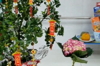 [???] Yoga Sức Khỏe Vàng – Golden Health ? Top1Yoga ??‍♀️ Năm nay cúng đón giao thừa và xem bắn pháo hoa tại khu phố thật là vui!
Sang năm mới 2025, TM xin gửi lời chúc tốt đẹp nhất đến tất cả gia đình mọi nhà và  , shares-0✔️ , likes-2❤️️ , date-2025-01-30 00:52:52????????