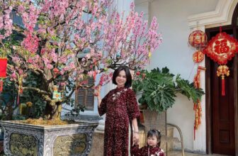 [🆕🇻🇳] Áo Dài Mẹ và Bé Kengin – Áo dài cho mẹ, cho bé, cho cả nhà mình 🧑‍🧒❤️️👶⭐️ | 𝐀́𝐎 𝐃𝐀̀𝐈 𝐊𝐄𝐍𝐆𝐈𝐍 | – 𝐅𝐞𝐞𝐝𝐛𝐚𝐜𝐤 𝐓𝐞̂́𝐭’𝟐𝟎𝟐𝟓
𝐍𝐡𝐮̛̃𝐧𝐠 𝐡𝐨̂̀𝐢 𝐚̂𝐦 𝐭𝐮̛̀ 𝐦𝐮̀𝐚 𝐓𝐞̂́𝐭 𝐲𝐞̂𝐮 𝐭𝐡𝐮̛𝐨̛𝐧𝐠Tết 2025, 𝐊𝐞𝐧𝐠𝐢𝐧 thật hạnh phúc khi được đồng hành cùng quý khác , shares-0✔️ , likes-11❤️️ , date-2025-01-31 19:34:24🇻🇳🇻🇳🇻🇳📰🆕