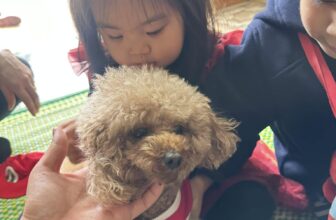 [🆕🇻🇳] Thời Trang Trẻ Em 0 – 6 tuổi Mialy Kids 🧑‍🧒❤️️👶⭐️ Nay em Cọp đổi tên sang An baby rồi cô chú nhé !
Ông nội không cho gọi Cọp nữa dâu a
, shares-0✔️ , likes-0❤️️ , date-2025-01-31 19:01:46🇻🇳🇻🇳🇻🇳📰🆕