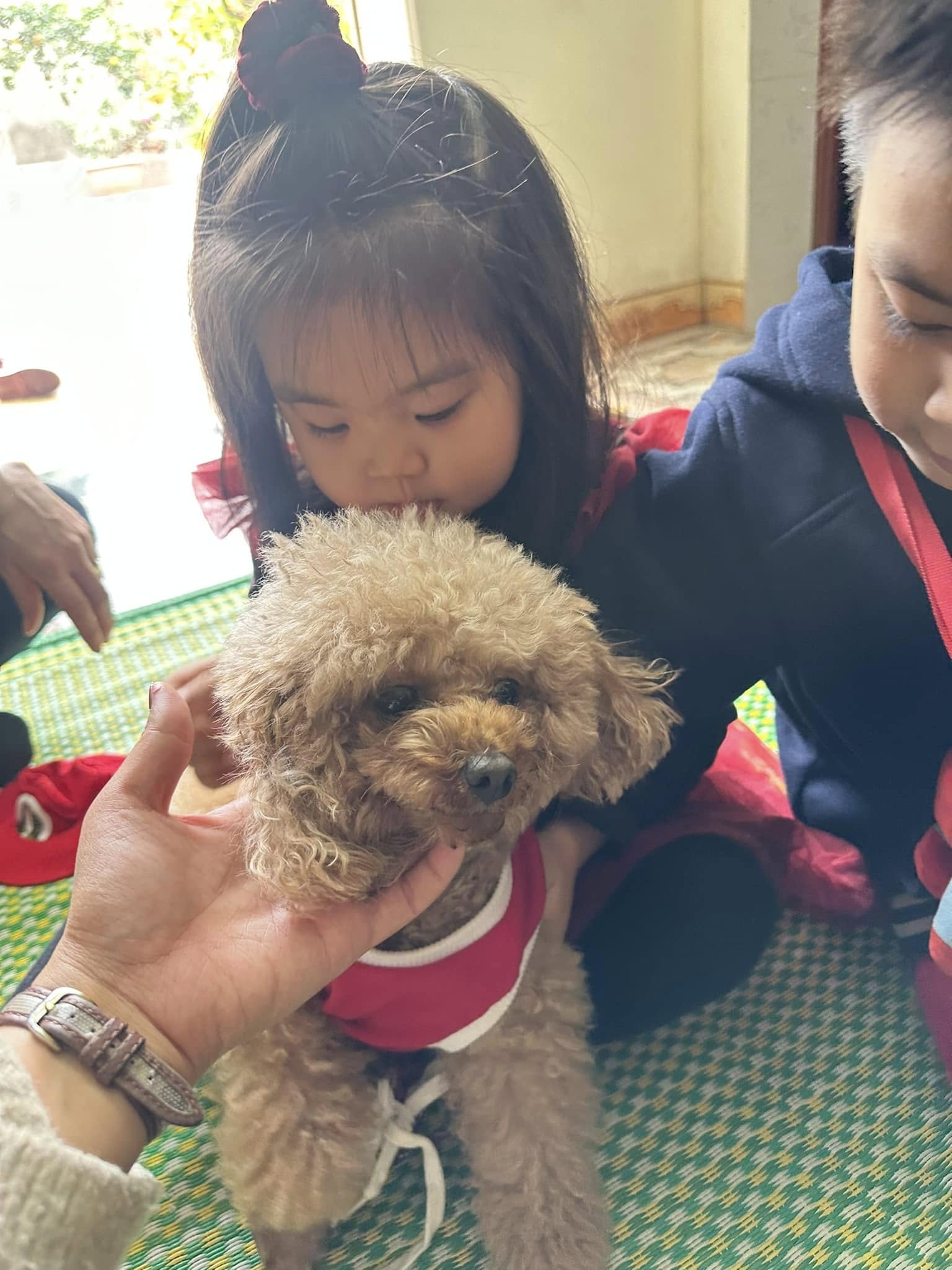[🆕🇻🇳] Thời Trang Trẻ Em 0 – 6 tuổi Mialy Kids 🧑‍🧒❤️️👶⭐️ Nay em Cọp đổi tên sang An baby rồi cô chú nhé !
Ông nội không cho gọi Cọp nữa dâu a
, shares-0✔️ , likes-0❤️️ , date-2025-01-31 19:01:46🇻🇳🇻🇳🇻🇳📰🆕