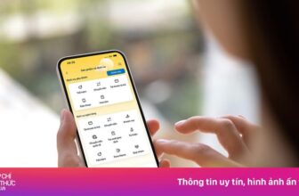 [🆕🇻🇳] PVcomBank – Ngân hàng TMCP Đại Chúng Việt Nam ♥️️📚  PVcomBank ra mắt loạt ưu đãi Chuyển tiền Quốc tế hấp dẫn cho khách hàng
Ngân hàng TMCP Đại Chúng Việt Nam (PVcomBank) ra mắt loạt ưu đãi chuyển tiền quốc , shares-6✔️ , likes-199❤️️ , date-2025-01-14 21:31:51🇻🇳🇻🇳🇻🇳📰🆕